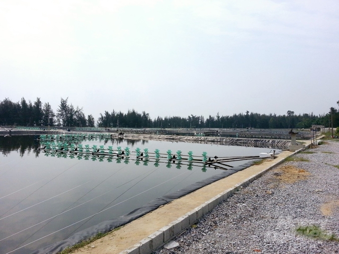 Dự án nuôi tôm trên cát của Công ty Long Phú. Ảnh: Quốc Toản.