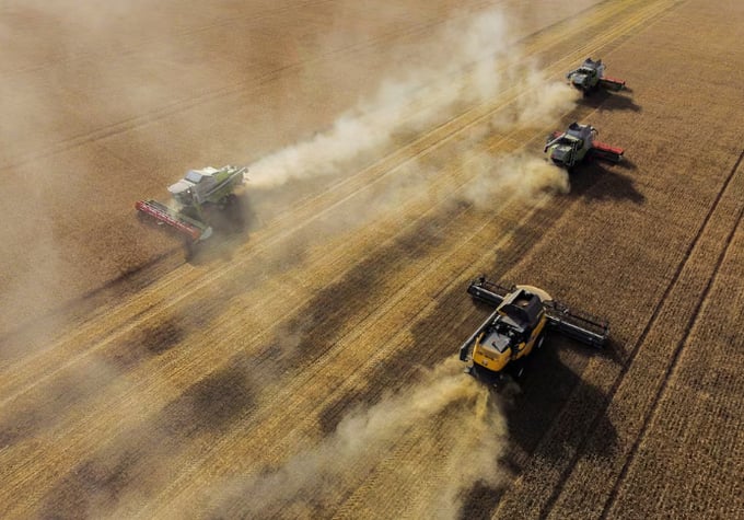 Combines harvest wheat in a field of a local agricultural enterprise in the Cherlaksky district of the Omsk region, Russia, September 8, 2023.