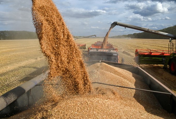Người dân thu hoạch lúa mì tại làng Solyanoye, vùng Omsk, Nga hồi tháng 9/2022. Ảnh: Reuters.
