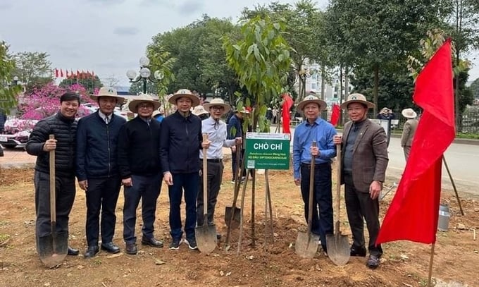 Delegates planting trees at the Lunar New Year tree planting ceremony on the campus of the Vietnam National University of Forestry. Photo: BT.