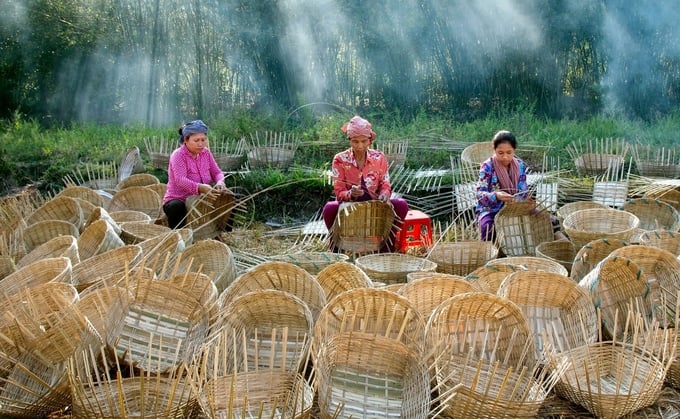The development of the forestry economy supports the livelihood stability of ethnic minority communities. Photo: Kieu Phuong - Tung Dinh.