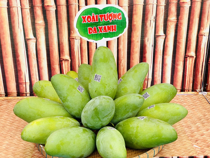 Within the first two months of 2023, the Cho Moi District People's Committee, in collaboration with the An Giang province's agricultural sector, announced two export shipments totaling 20 tons of mangoes to the United States, Australia, and South Korea. Photo: Le Hoang Vu.