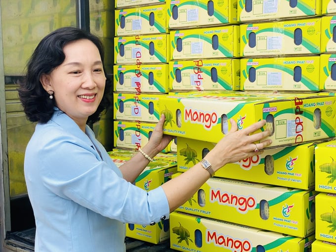 According to Ms. Nguyen Thi Minh Thuy, Vice Chairman of An Giang Provincial People's Committee, strict compliance with the requirements imposed by importing countries regarding pesticide residue levels, harmful insects, traceability, and irradiation is crucial to export local mangoes to demanding markets such as the United States, Australia, South Korea, and conquer other challenging markets worldwide. Photo: Le Hoang Vu.