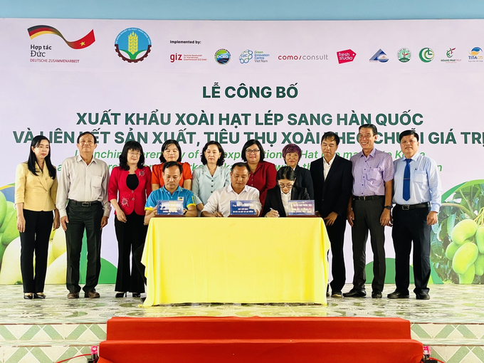 Cu Lao Gieng GAP Cooperative signing contracts to supply fresh mangoes for export to OCFAMRM Company, Hoang Phat Fruit Company Limited, Chanh Thu Fruit Import-Export Company Limited, and T&T Group. Photo: Le Hoang Vu.