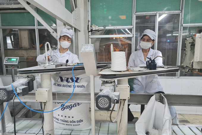 Công ty TNHH Mía đường Nghệ An đã tạo ra mối liên kết chặt chẽ với nông dân trên đất Phủ Quỳ. Ảnh: Việt Khánh.