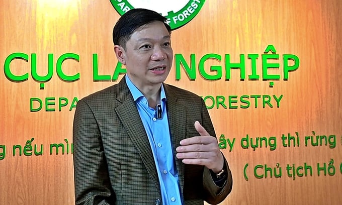 Director General of the Department of Forestry Tran Quang Bao: 'The forestry sector needs to unlock and activate the untapped potentials of forests.' Photo: Tung Dinh.