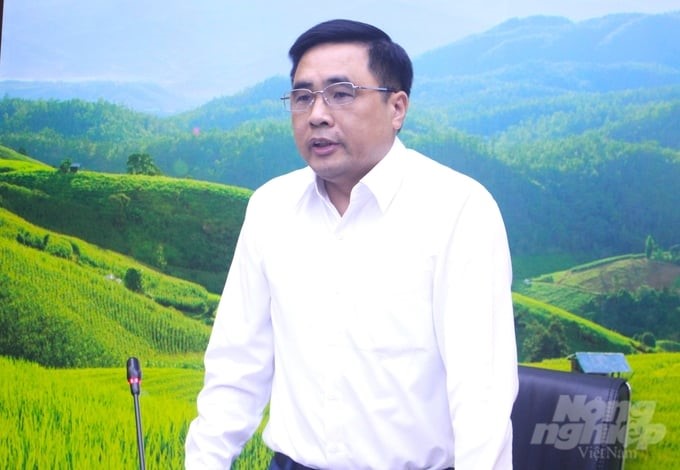 Deputy Minister Nguyen Quoc Tri requested that any locality with a reduced natural forest area urgently inspect and clarify the causes and responsibilities of units and individuals to end this situation. Photo: Trung Quan.