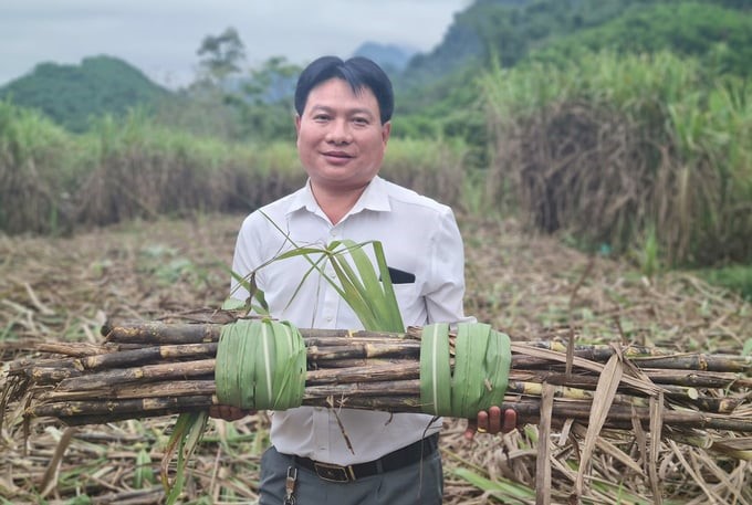 Typical sugarcane farmer Lo Van Vinh. Photo: Viet Khanh.