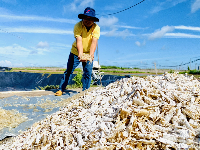 The potential for circular economy in the seafood sector is huge, including by-products from shrimp. Photo: Le Hoang Vu.