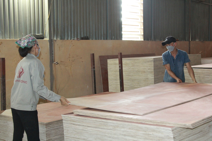 Sản phẩm gỗ ván ép của các doanh nghiệp tại Yên Bái đã xuất khẩu sang một số nước như Hàn Quốc, Malaysia... Ảnh: Thanh Tiến.