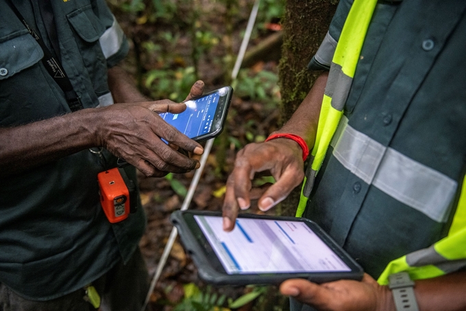 Technological innovation has vastly improved our ability to monitor the world’s forests.