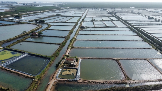 Đầm bãi nuôi trồng thủy sản tại khu vực Cồn Xanh, huyện Nghĩa Hưng. Ảnh: Kiên Trung.