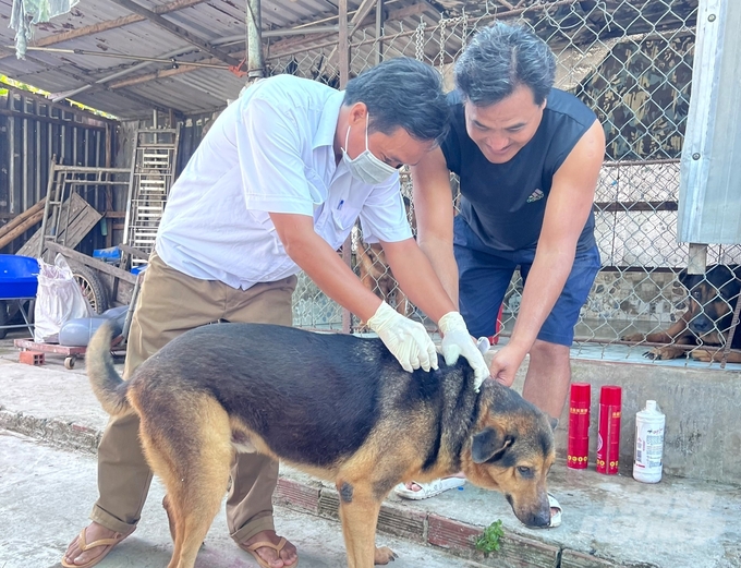 Chi cục Chăn nuôi và Thú y tỉnh Sóc Trăng chỉ đạo các trạm cơ sở đẩy mạnh công tác tiêm phòng vacxin ngừa bệnh dại cho chó, mèo. Ảnh: Kim Anh.