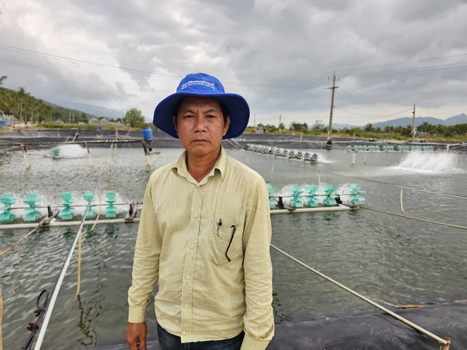 Ông Lê Minh Chính, Giám đốc Hợp tác xã Nuôi trồng thủy sản Ninh Phú cho biết, hiện các thành viên trong HTX ứng dụng khoa học công nghệ trong nuôi tôm. Ảnh: KS.