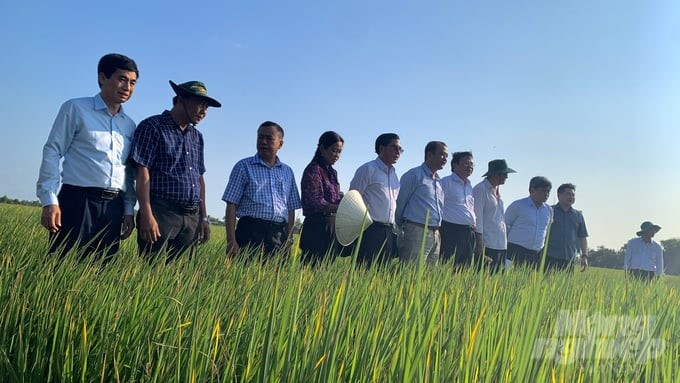 Prime Minister Pham Minh Chinh requested Vinh Long implement planning associated with green growth. Photo: HT.