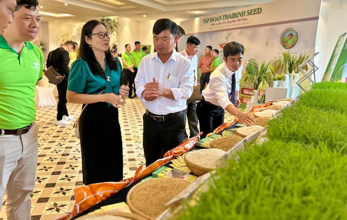 Businesses exchanging ideas and visiting crop variety exhibition booths on the sidelines of the workshop. Photo: PT.