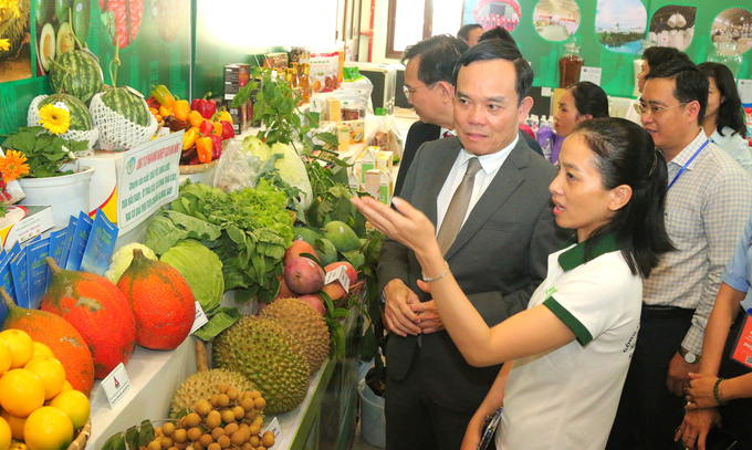 Phó thủ tướng Trần Lưu Quang tham quan các loại nông sản đặc trung của Đắk Nông. Ảnh: Thanh Hải.