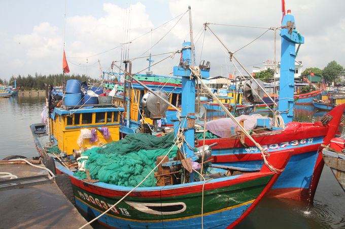 Đang vào vụ đánh bắt chính nhưng nhiều tàu cá ở Quảng Nam và Quảng Ngãi đành chấp nhận nằm bờ vì không đủ thuyền viên để vươn khơi. Ảnh: L.K.
