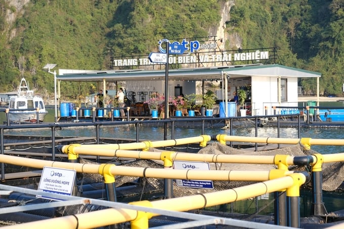 Marine farm that offer tourists real-life experiences. Photo: Kien Trung.