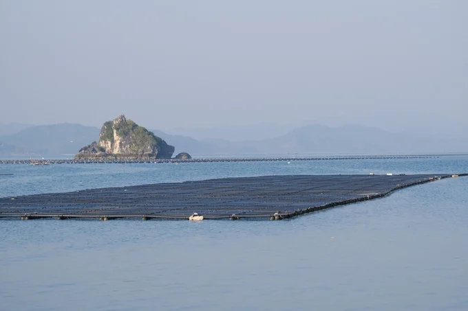 Planning for marine farming in Quang Ninh province. Photo: Kien Trung.