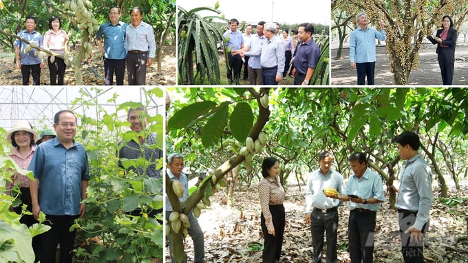 UBND huyện Xuân Lộc đã tập trung nhiều nguồn lực đầu tư phát triển nông nghiệp, nâng cao năng suất cho người dân.