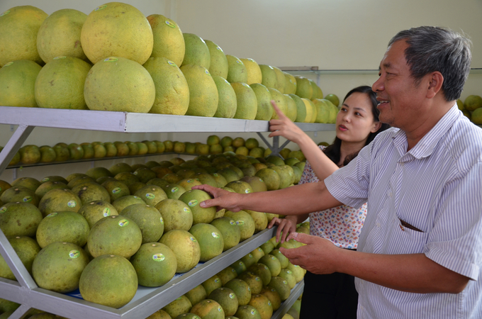 Một gian hàng trưng bày bưởi Đoan Hùng. Ảnh: NNVN.