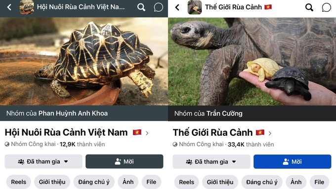 Những nhóm kín hoạt động mua, bán rùa trên không gian mạng xã hội. Ảnh: Hùng Khang.