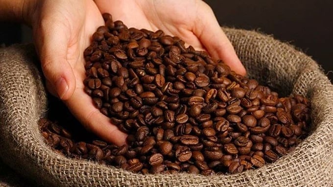 Update on the latest domestic and world coffee prices on 03/25/2024