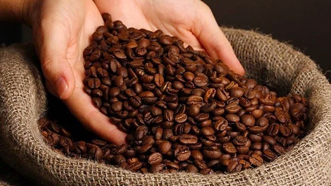 Cập nhật giá cà phê trong nước và thế giới mới nhất ngày 25/3/2024