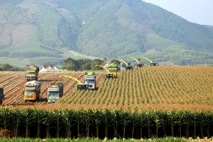 Dàn 'siêu' máy móc của TH tạo nên cảnh quan nông nghiệp 'đã mắt' tại Nghĩa Đàn, Nghệ An. Ảnh: TH.
