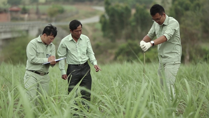 Công ty Cổ phần đường Quảng Ngãi phối hợp với Công ty Phân bón Việt Nhật nghiên cứu dinh dưỡng của đất. Ảnh: V.Đ.T.