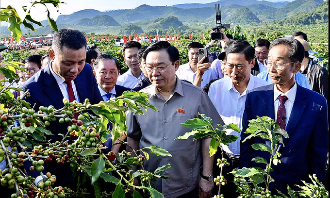Chairman of the National Assembly Vuong Dinh Hue visited the coffee garden of Bich Thao Cooperative.