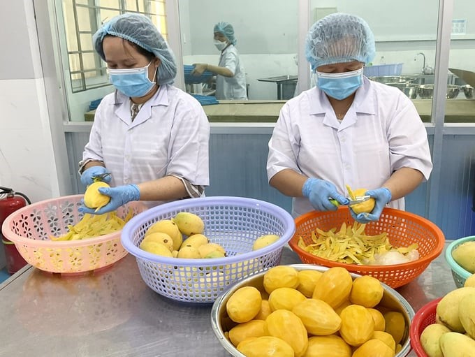 Students at Dong Thap Community College learn to process new products from mango.