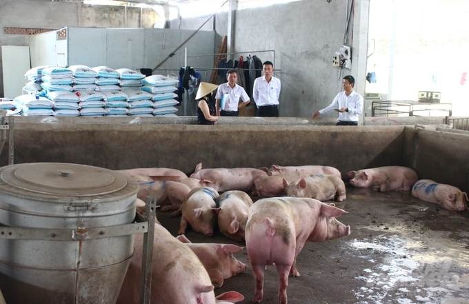 Các doanh nghiệp, trang trại chăn nuôi tại Đồng Nai đa số chấp hành tốt việc chăn nuôi an toàn sinh học và quản lý dịch bệnh. Ảnh: Minh Sáng.