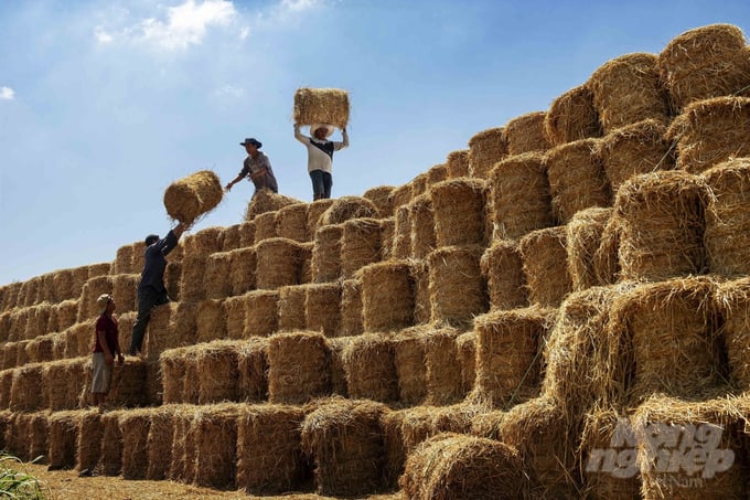 Huyện Xuân Lộc phấn đấu đến năm 2024 hoàn thành xây dựng nông thôn mới kiểu mẫu theo hướng 'Phát triển sản xuất hàng hóa nông nghiệp bền vững'.