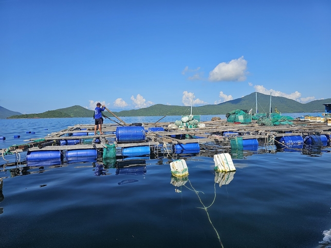 Nghề nuôi biển ở vịnh Vân Phong. Ảnh: Kim Sơ. 