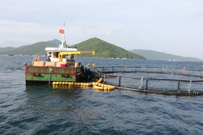 Mô hình nuôi biển của Trung tâm nuôi biển công nghệ cao trực thuộc Viện Nghiên cứu nuôi trồng thủy sản I. Ảnh: Kim Sơ. 