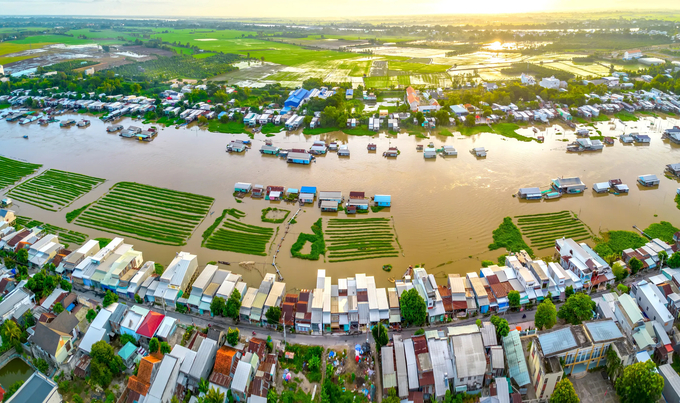 Làng nổi trên sông Hậu ở Việt Nam, một trong những vùng sản xuất cá tra trọng điểm của cả nước. 