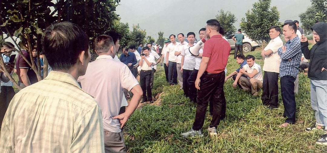Nông dân các tỉnh đến tham quan vườn trồng mắc ca tại tỉnh Điện Biên.