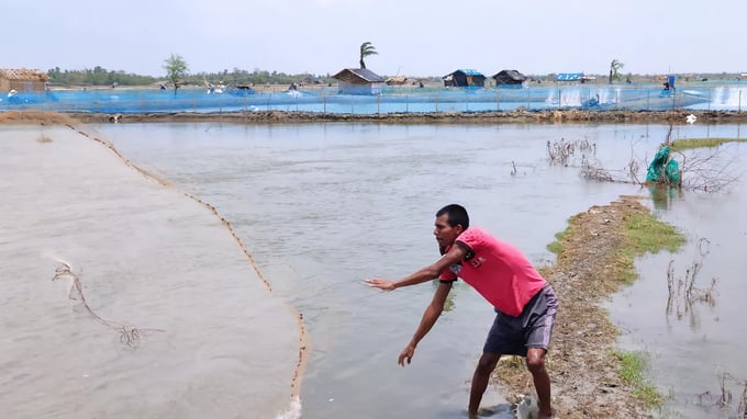 Flooded shrimp ponds in the wake of Cyclone Amphan, which struck Bengal in 2020. Photo: Gurvinder Singh