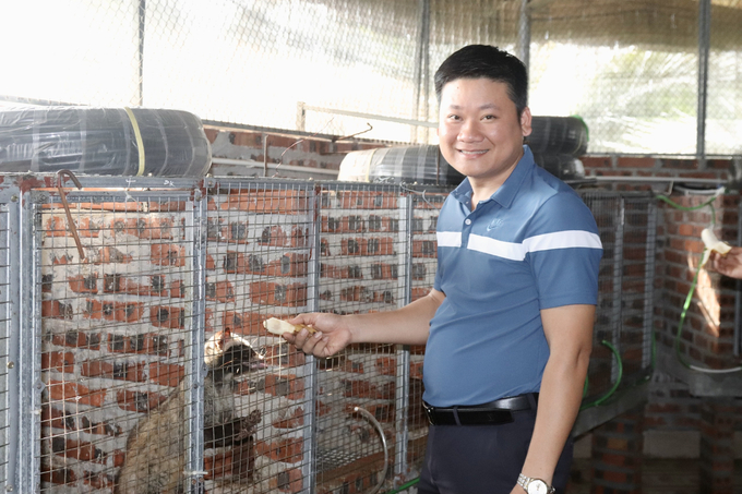 Cơ quan chuyên môn đang phối hợp với trang trại hộ anh Đặng Văn Cường chuẩn hóa quy trình, kỹ thuật nuôi để chuyển giao cho các hộ dân khác muốn làm giàu từ nghề nuôi chồn hương. Ảnh: TN.