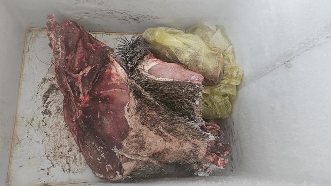 Thịt rừng (nai hoặc heo?) trong chiếc tủ đông 2 ngăn phía ngoài. Ảnh: PV.