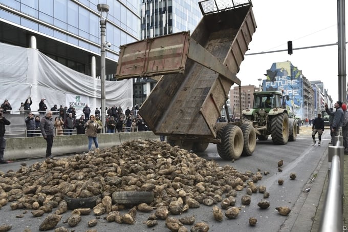 Nông dân biểu tình ở Bỉ đổ khoai tây ra đường hôm 26/3. Ảnh: AP.