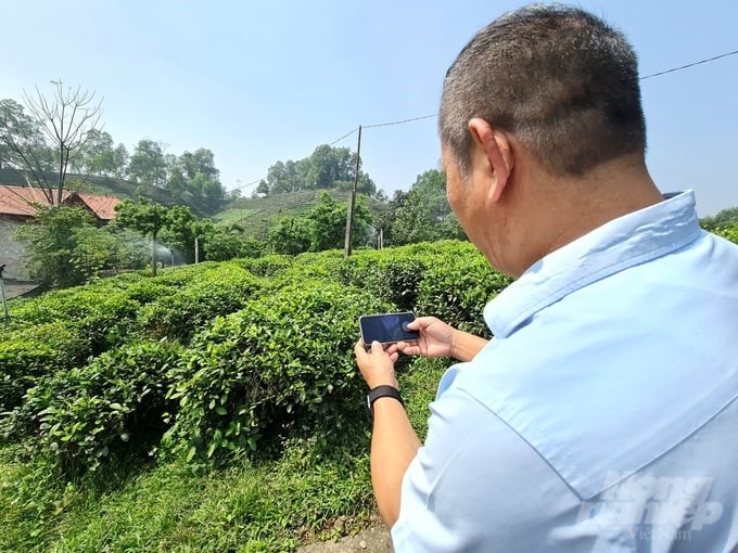Mr. Khiem checks the automatic irrigation system via smartphone. Photo: Dao Thanh.