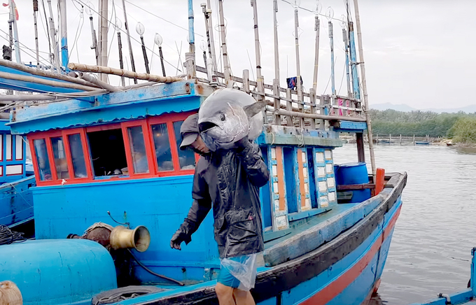 Ngư dân đưa cá ngừ lên bờ. Ảnh: Sơn Trang.