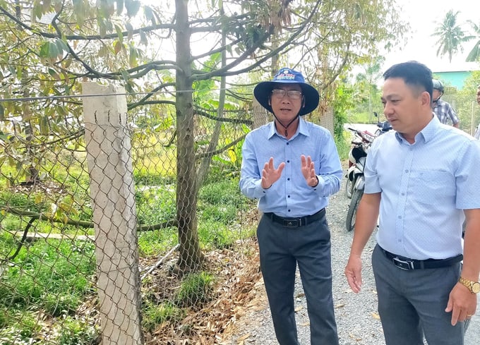 Ông Phan Thanh Sơn (trái), Phó Chủ tịch UBND huyện Cái Bè, tỉnh Tiền Giang cùng với ngành chức năng địa phương khảo sát bệnh cháy lá sầu riêng. Ảnh: Minh Đảm.