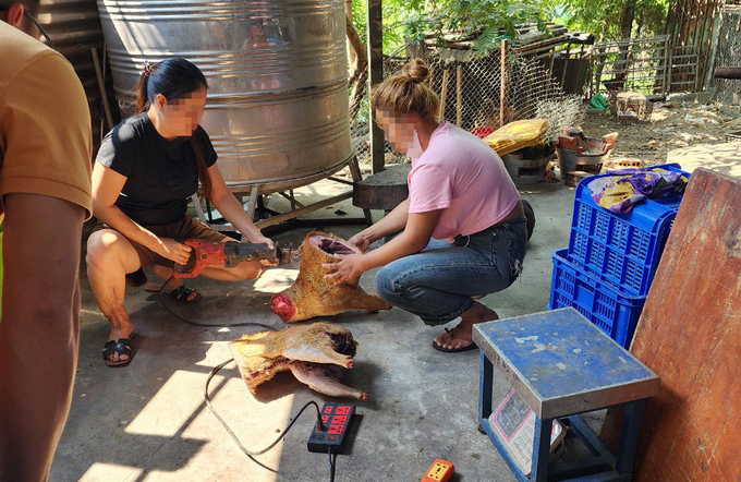 Bà P. cùng nhân viên cưa con mang bán cho khách với giá 230.000/kg. Ảnh: Quang Yên.