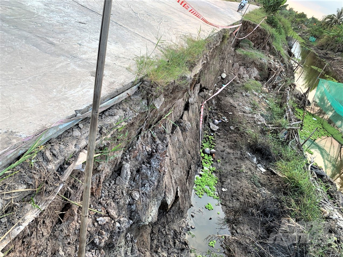 Nước trong các tuyến kênh quanh vùng đệm Vườn quốc gia U Minh Thượng cạn kiệt, tạo ra độ chênh lệch rất lớn là nguyên nhân dẫn đến tình trạng sạt lở, sụt lún đất liên tục xảy ra. Ảnh: Trung Chánh.