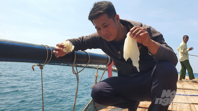 Vướng mắc lớn nhất của những người đi nuôi biển như Nguyễn Bá Ngọc, đó là cơ chế chính sách giao mặt nước....