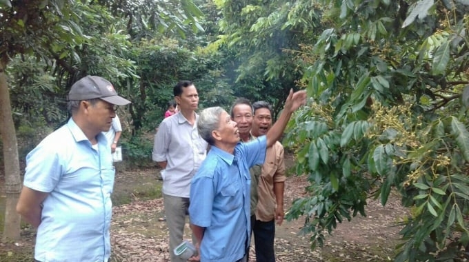 Nông dân Hưng Yên tham gia khóa tập huấn, đào tạo về áp dụng IPM trên cây ăn quả. Ảnh: SNNHY.